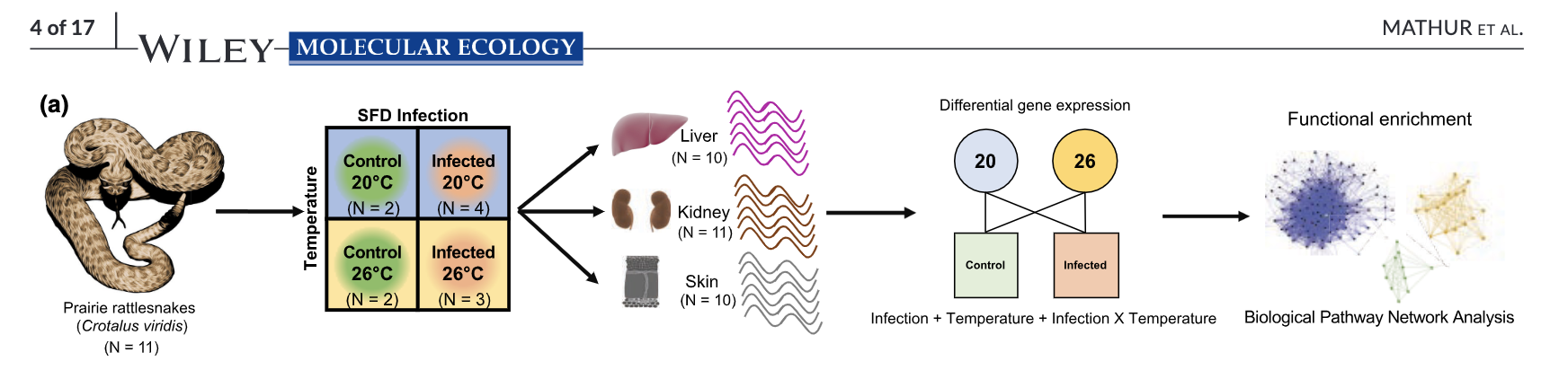 Samarth Mathur during OSU research